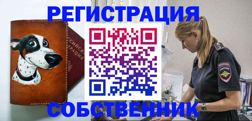 временная регистрация недорого в Омске